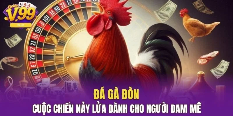 Đá Gà Đòn - Cuộc Chiến Nảy Lửa Dành Cho Người Đam Mê 1 đá gà đòn