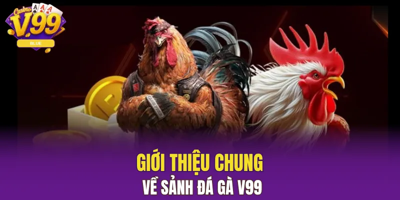 Giới thiệu chung về sảnh chơi đá gà V99