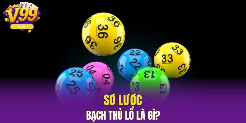 Xỉu Chủ Là Gì? Thuật Ngữ Lô Đề Phổ Biến Ở Miền Nam 5 Sơ lược bạch thủ lô là gì?